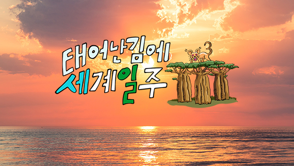 태계일주 뉴스 태어난 김에 세계일주 3 만나면 좋은 친구 MBC