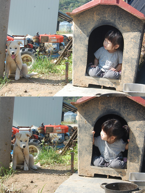 니가 사는 개집