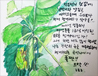 청개구리랑 함께 먹자 | 김인순