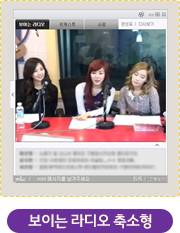 ���̴� ���� �����