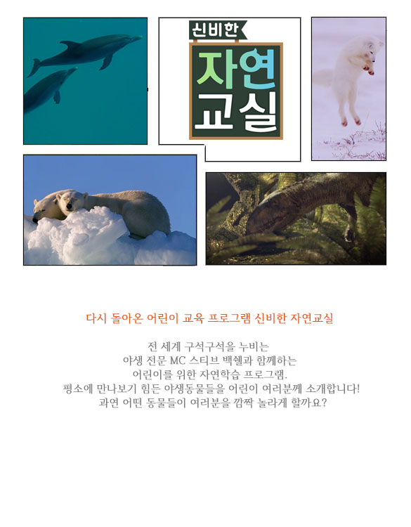 화 : 신비한 자연교실 프로그램 소개 상세