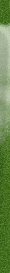 left_r01.gif