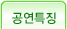 공연특징