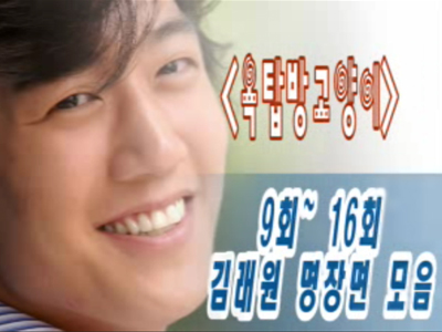 옥탑방 고양이 특집회 예고