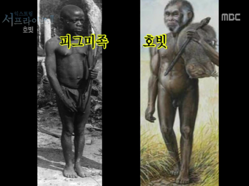 플레이어