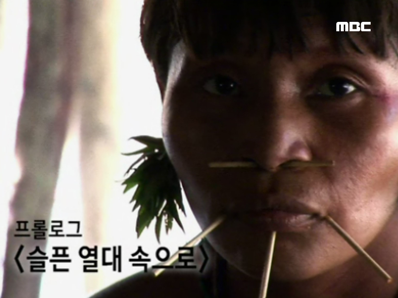 플레이어