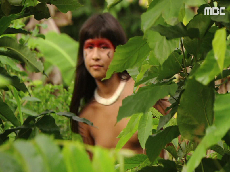 아마존 의 눈물 여자