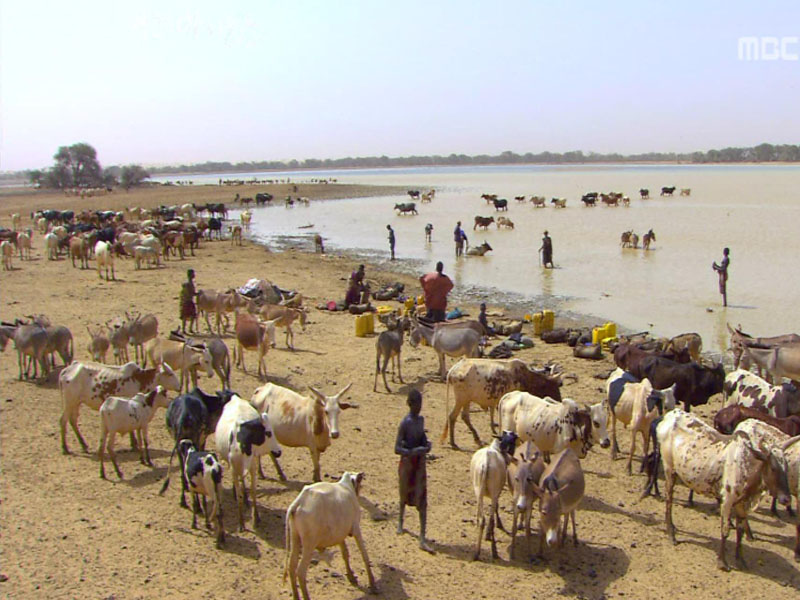 제2부 사하라의 묵시록 