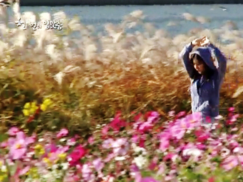 반지 수색작전!! 클립