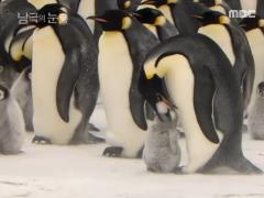 남극의 눈물 1회