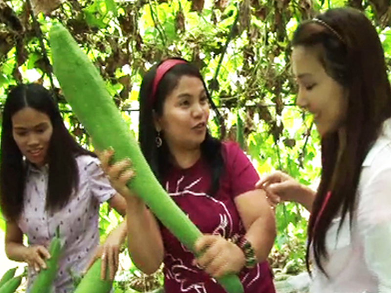 1. 팔방미인 수세미 체험기<br>
2. 유쾌한 베트남댁 레티난 1부<br>
3. 통일은 식탁에서부터, 북한음식전문가 장유빈씨