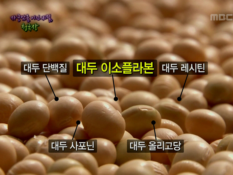 1. < 푸드닥터 > - 신의 선물, 콩!<BR>
2. <생존의 법칙> - 잘 씹고, 잘 걸어야 오래 산다!