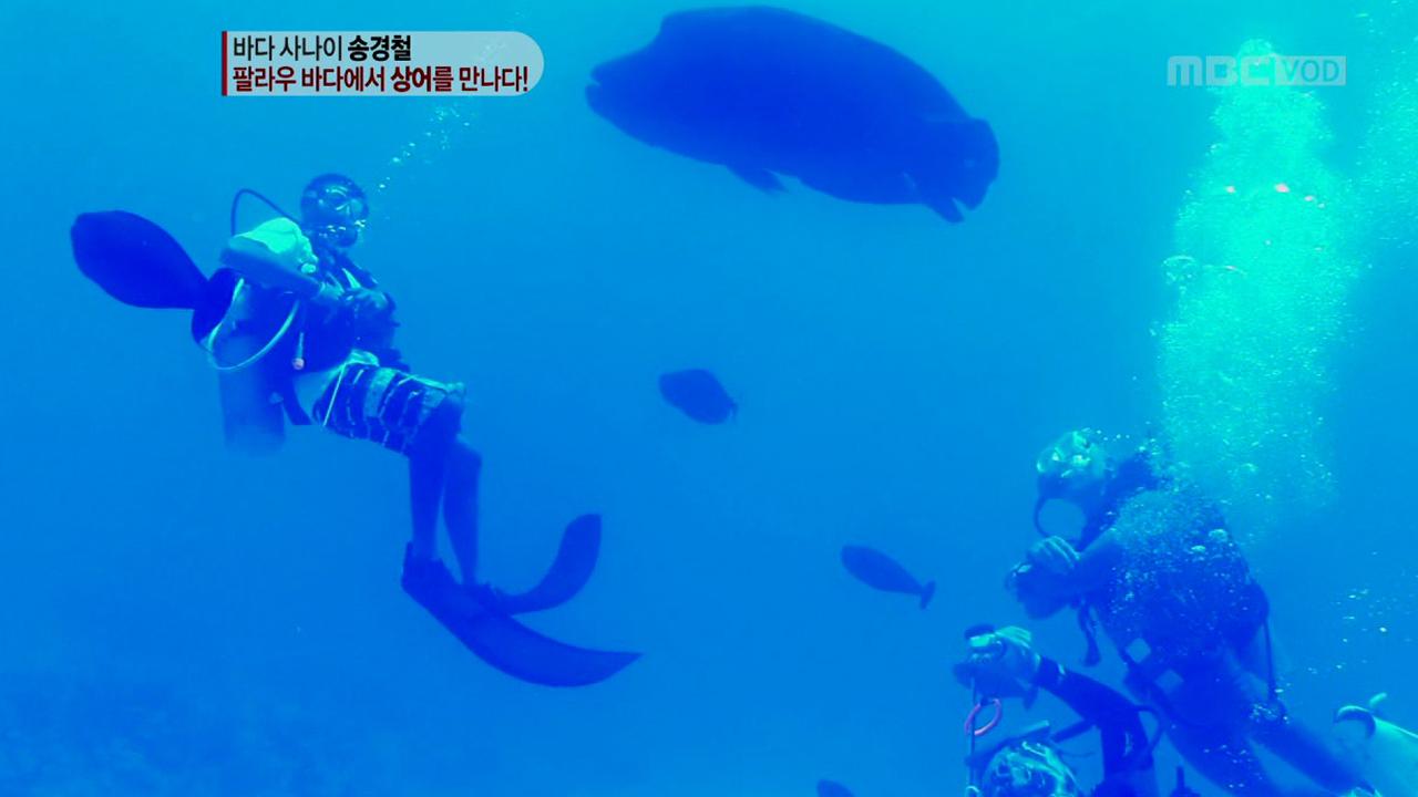 플레이어