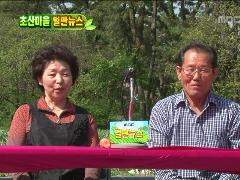 늘 푸른 인생 462회
