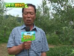 늘 푸른 인생 471회