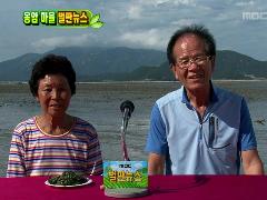 늘 푸른 인생 476회