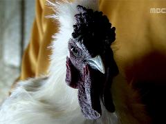 그린실버 고향이 좋다 205회