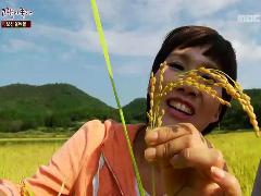 그린실버 고향이 좋다 241회