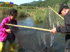 늘 푸른 인생 534회