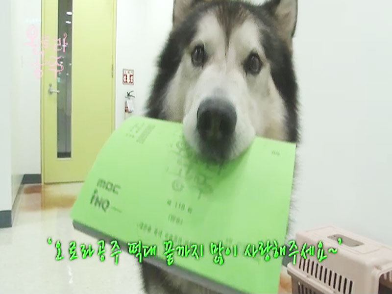 [인터뷰] 명품 개연기!! 떡대 役의 통키! 클립