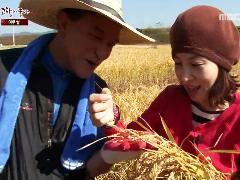 그린실버 고향이 좋다 247회