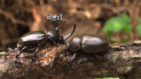 윤종신 - 본능적으로 MV (바람 피우는 여자친구를 떠나 새로운 사랑을 찾는다는 훈훈한 이야기) 클립