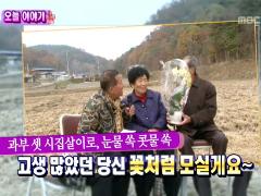 늘 푸른 인생 541회