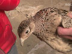 그린실버 고향이 좋다 209회