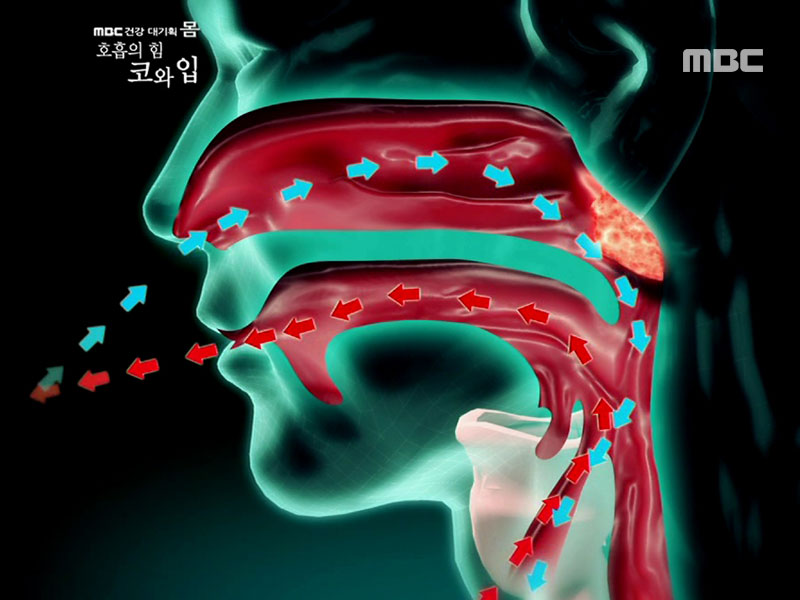 1. 호흡의 힘, 코와 입<BR>
2. 우리 몸의 정수기, 신장