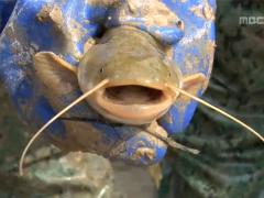 그린실버 고향이 좋다 213회