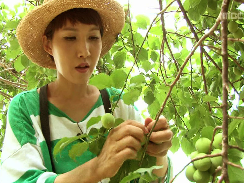 1. 참소라 (인천 옹진군)<br>2. 매실 (전남 광양)<br>3. 우럭 (충남 서산)<br>4. 석두어촌체험마을 (전남 함평)
