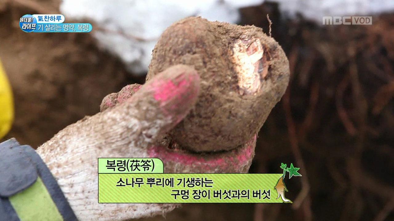 플레이어
