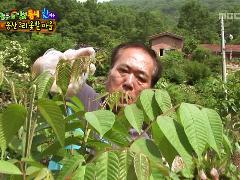 늘 푸른 인생 519회