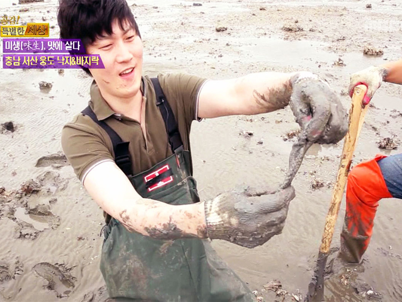 1. 하늘을 지키는 여전사! 공군사관학교 고공훈련 대작전<br>2. 우중별미, 지글지글 전(煎)의 전쟁!<br>3. 집을 나서면 캠핑이 대세! 여름 캠핑 이야기<br>4. 미생(味生), 맛에 살다! 충남 서산 웅도 편