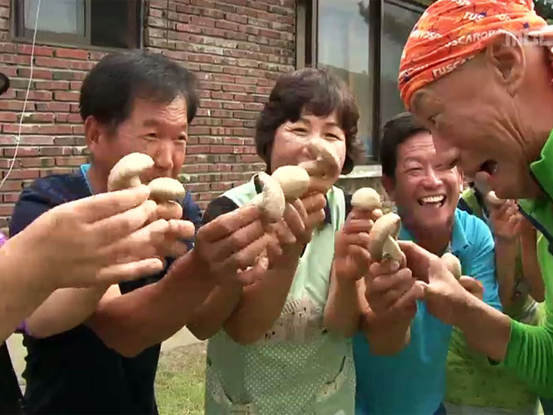 1. 한우 (전남 함평)<br>2. 표고버섯 (경기 양평)<br>3. 고현어촌체험마을 (경남 창원)<br>4. 야생화 꿀 (경기 포천)