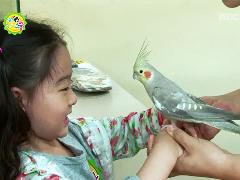 똑?똑! 키즈스쿨 19회