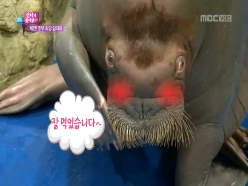 서비스 마인드가 곧, 힘이다.