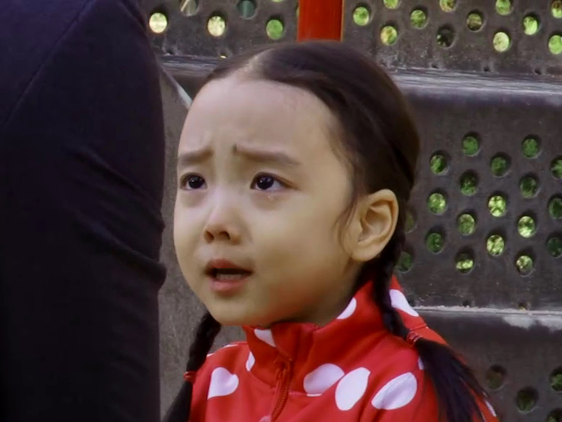 [생생현장] 초롱이는 눈물연기의 대가! 클립