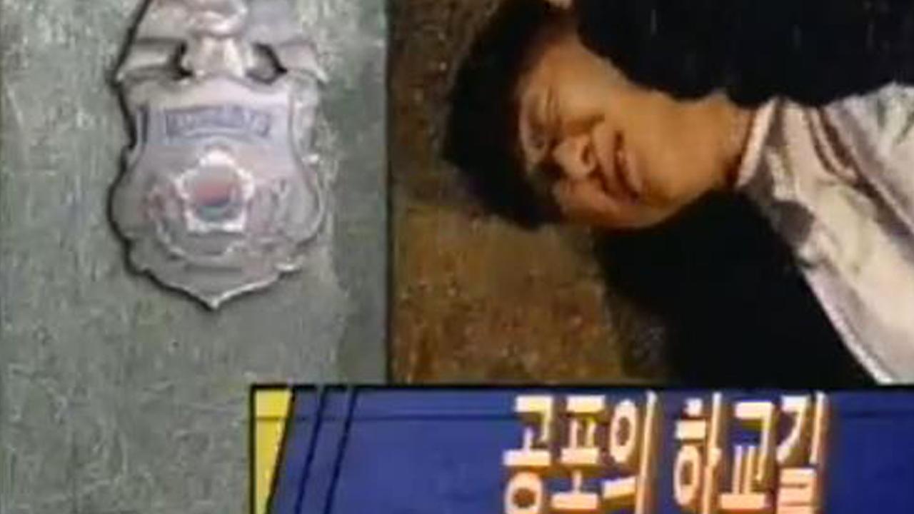 플레이어