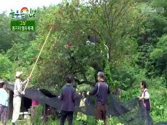 늘 푸른 인생 566회