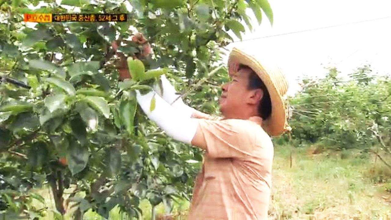 플레이어