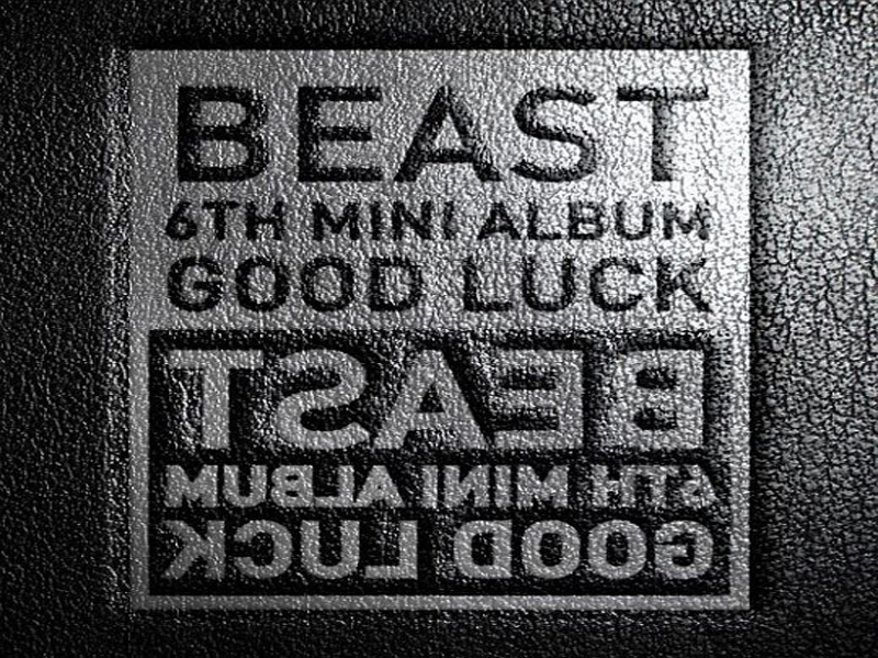 [이 춤이 대세] 비스트 - Good luck 클립