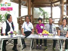 늘 푸른 인생 575회