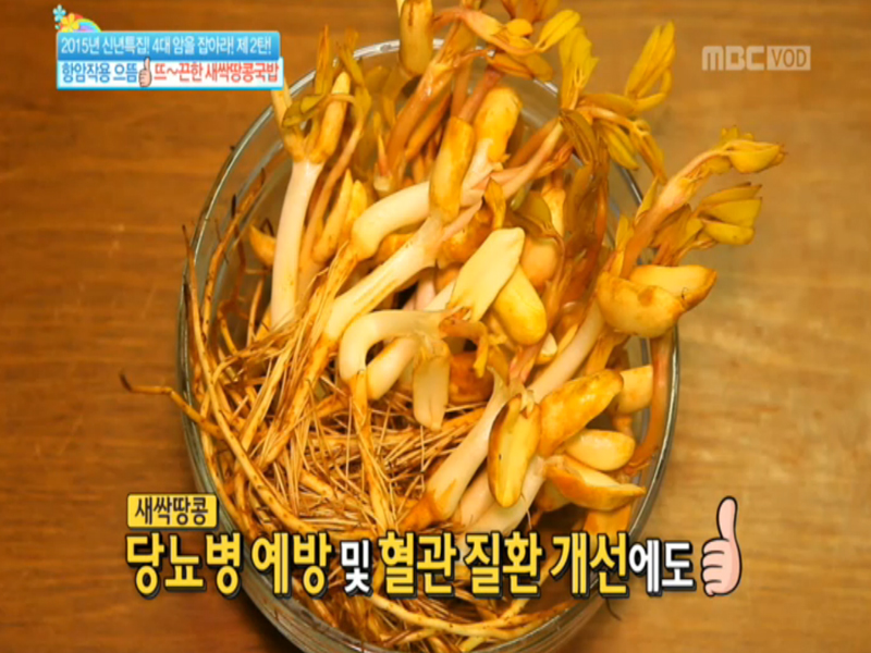 2015년 신년특집 4대 암을 잡아라! 제2탄 <간암&폐암>