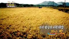 그린실버 고향이 좋다 338회