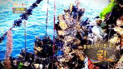 그린실버 고향이 좋다 345회