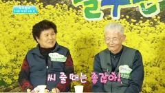 늘 푸른 인생 651회