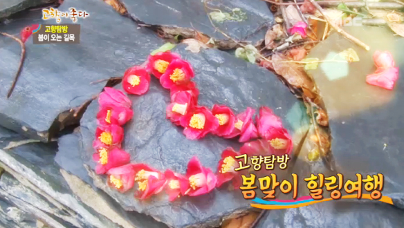 1. 참두릅 (경기 가평)<br>
2. 식도락(食道樂) (경북 안동)<br>
3. 전복 (전남 강진)<br>
4. 고향탐방 (경남 거제)