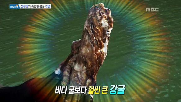 1.섬진강의 특별한 봄꽃 강굴 <br> 2.푸짐한 해물찜 한상이 15000원? <br> 3.월 매출 1,200만원! 전통시장 철판 스테이크 <br> 4.한 지붕 두 화가의 자리 쟁탈전