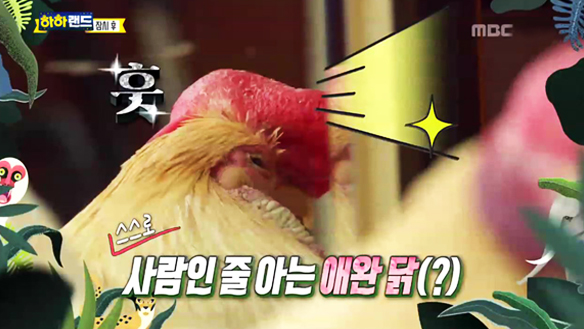 책방집 당나귀 - 홍철과 반려당 홍키의 좌충우돌 여름 캠핑 나들이 제2탄!
